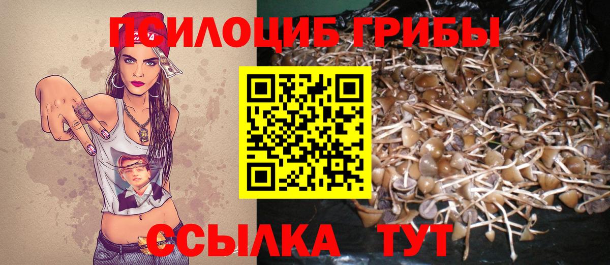Псилоцибиновые грибы Psilocybine cubensis Воронеж