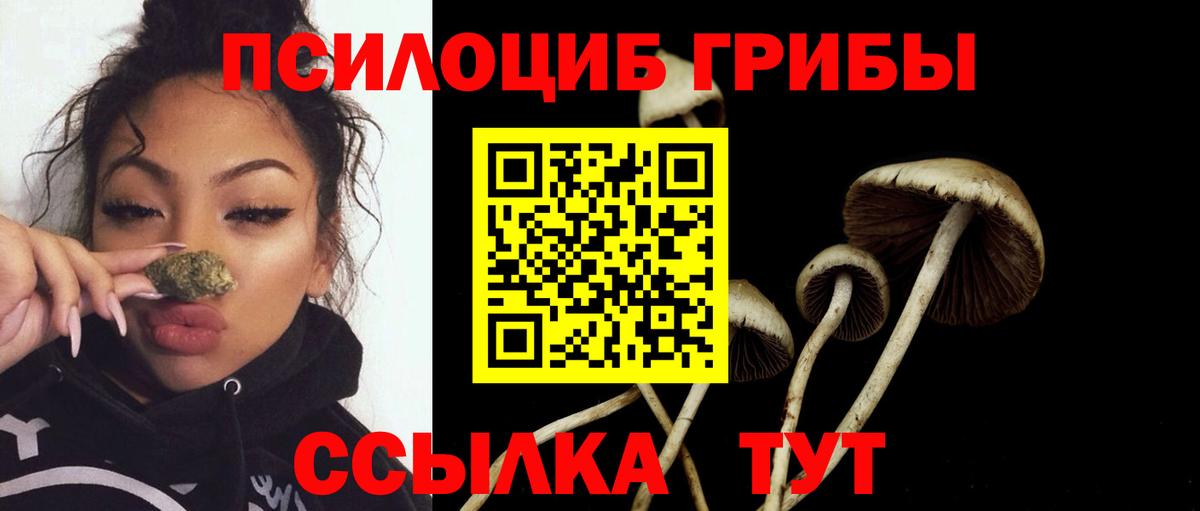 Псилоцибиновые грибы мицелий  Вход с VPN  Псилоцибиновые грибы прущие грибы  Воронеж 